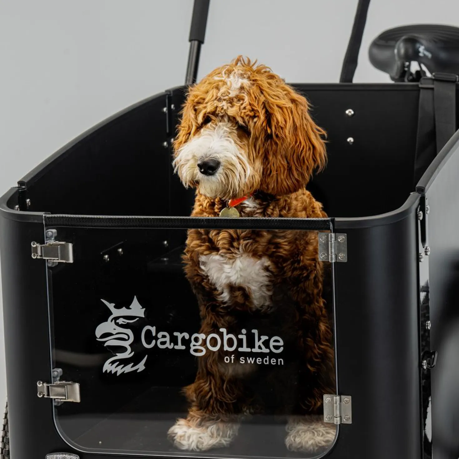 Cargobike of Sweden DeLight Dog laatikkopyörä