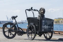 Cargobike of Sweden DeLight Dog laatikkopyörä
