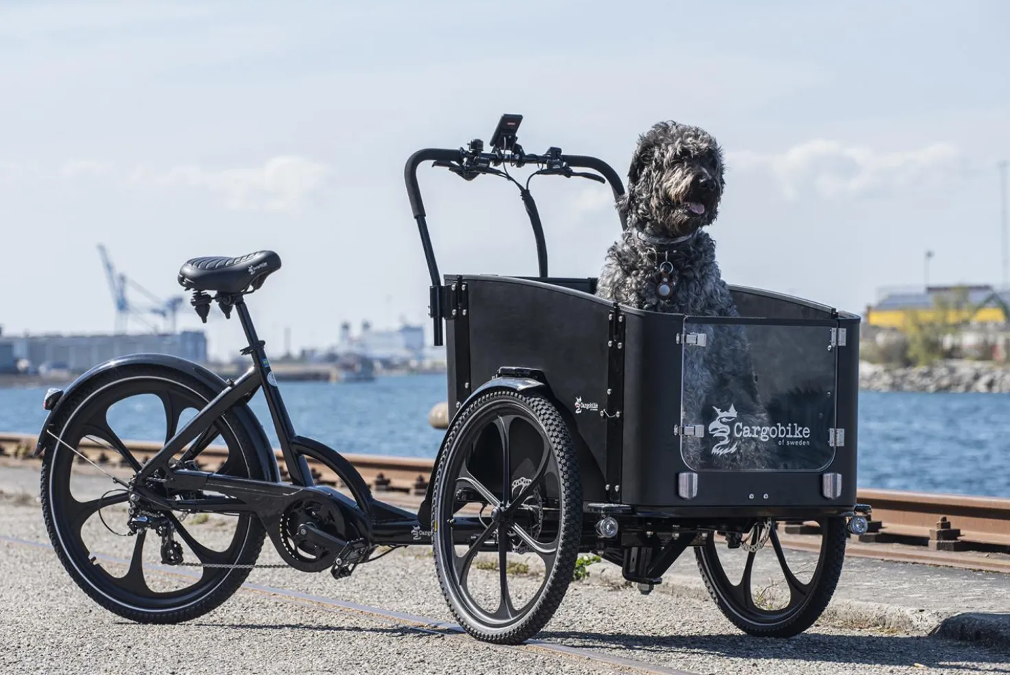 Cargobike of Sweden DeLight Dog laatikkopyörä