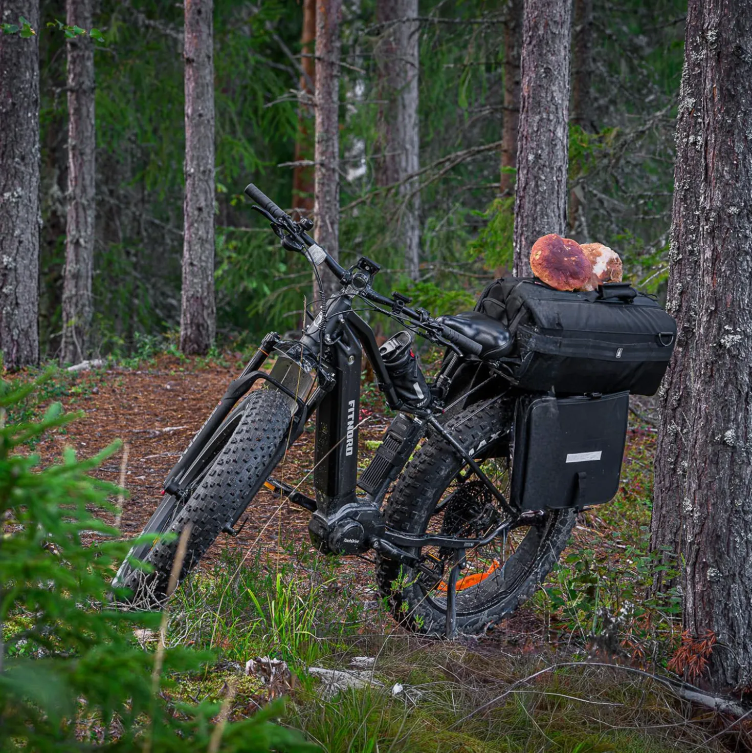 FitNord Rumble 1000 Sähköfatbike G2, musta