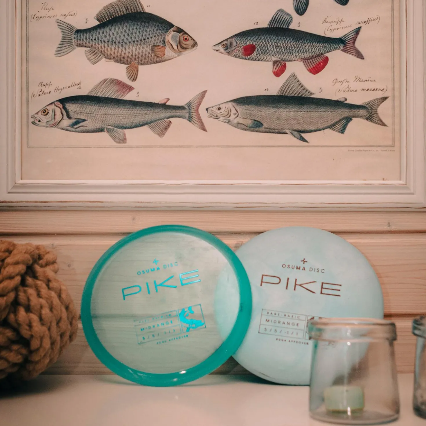Osuma Disc Pure-Premium Pike, Midari