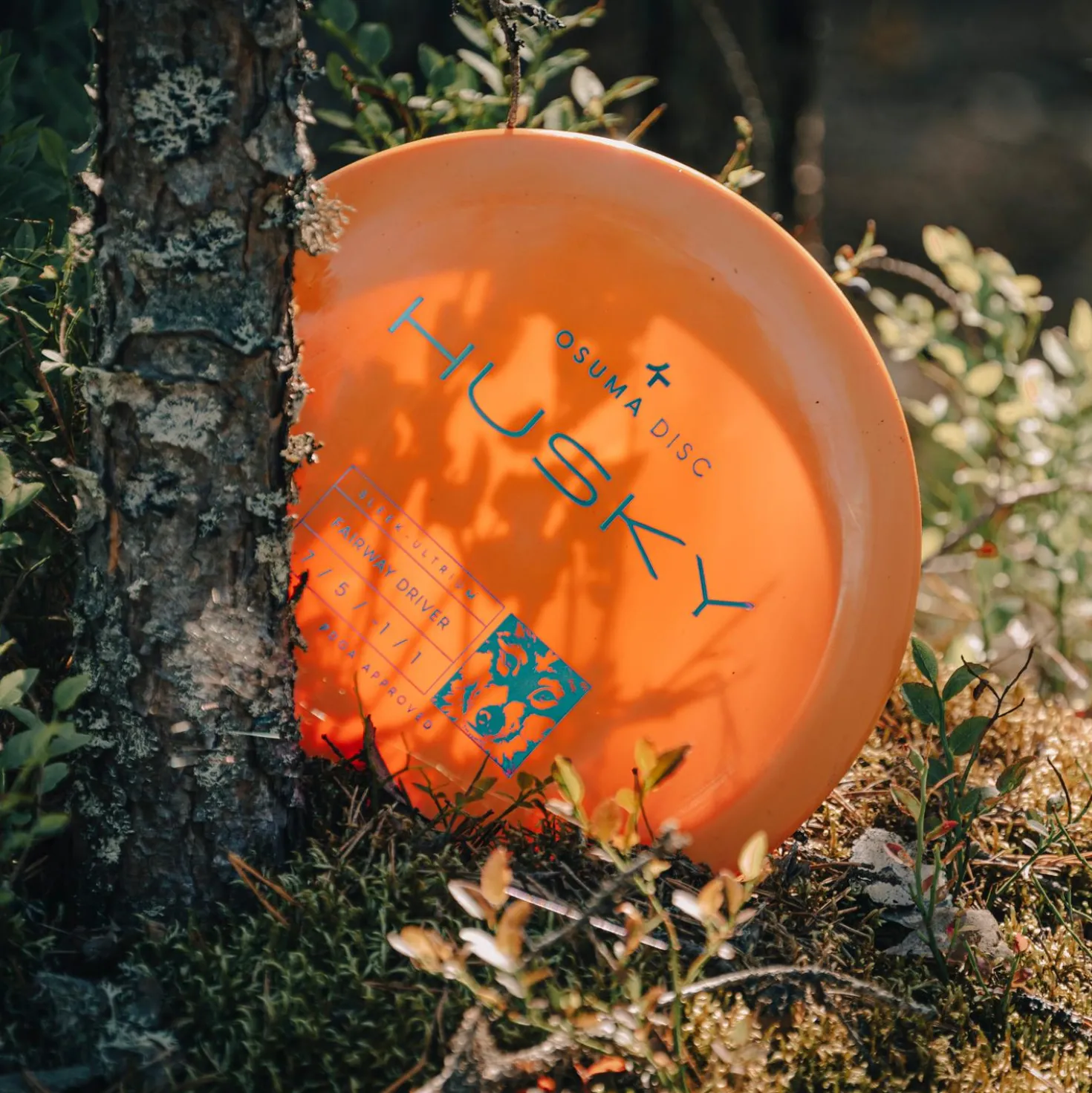 Osuma Disc Sleek-Ultrium Husky, Väylädriveri